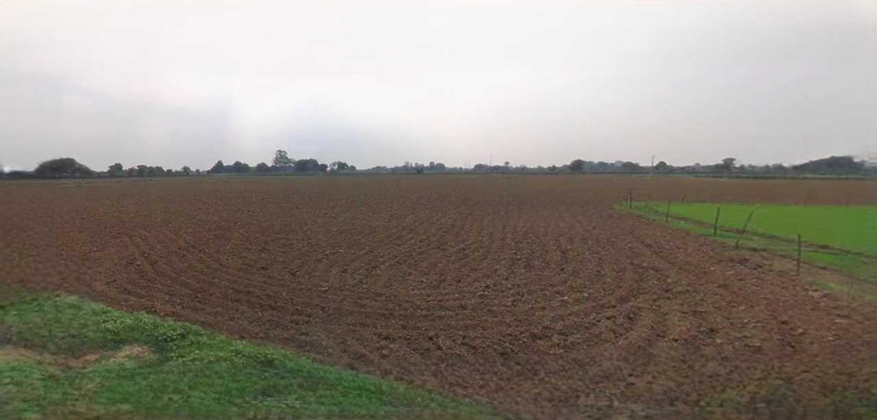 Barnagar, Madhya Pradesh 456771, India