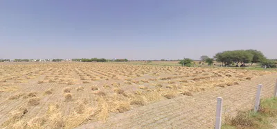 Reengus, Rajasthan, India preview 3