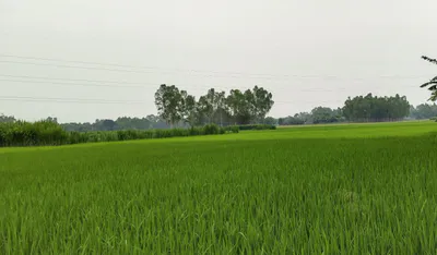 Bairagiwala, Uttarakhand 248142, India preview 2