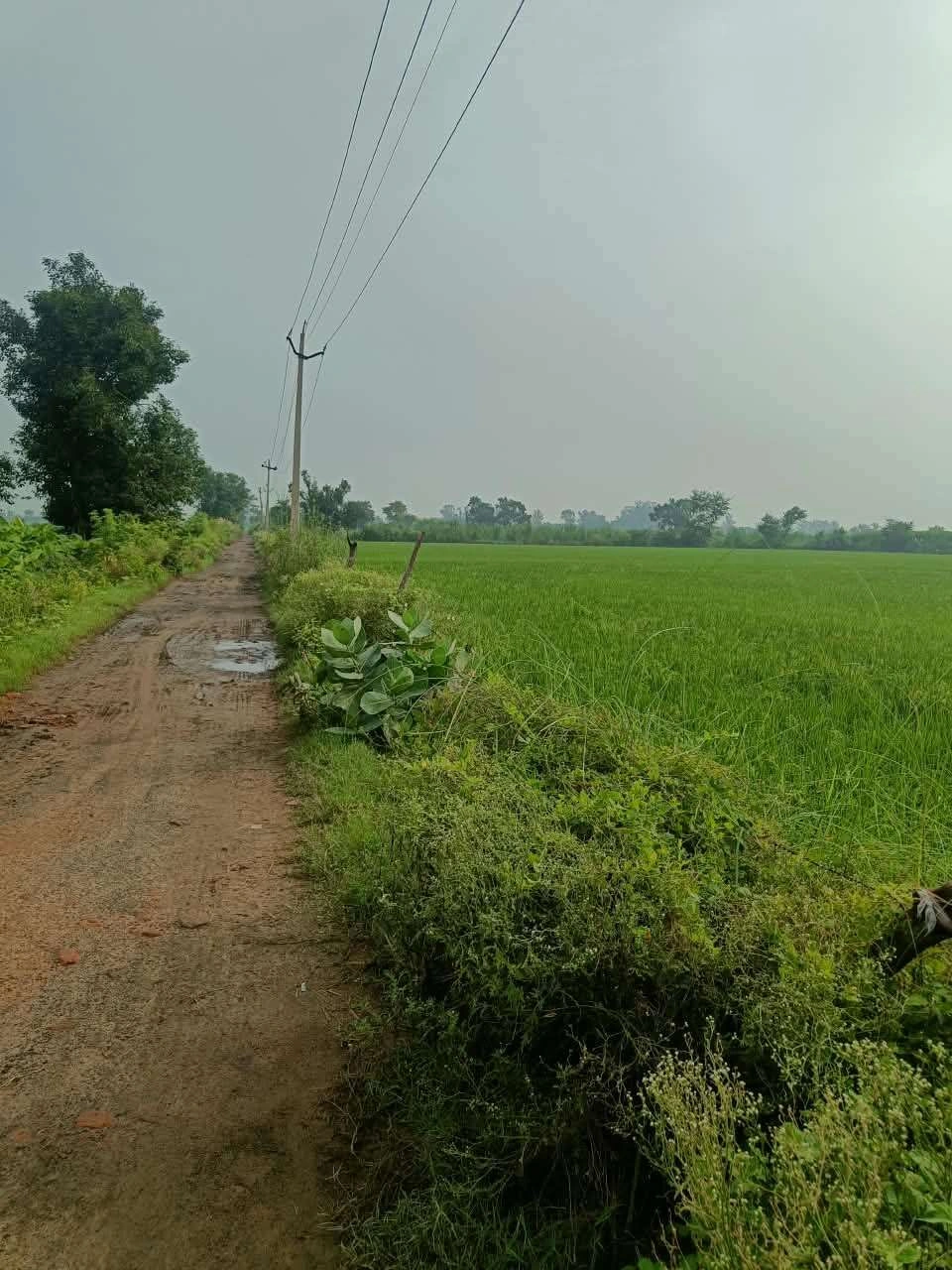 Abhaipura Banger, Mathura, Uttar Pradesh 281203, India