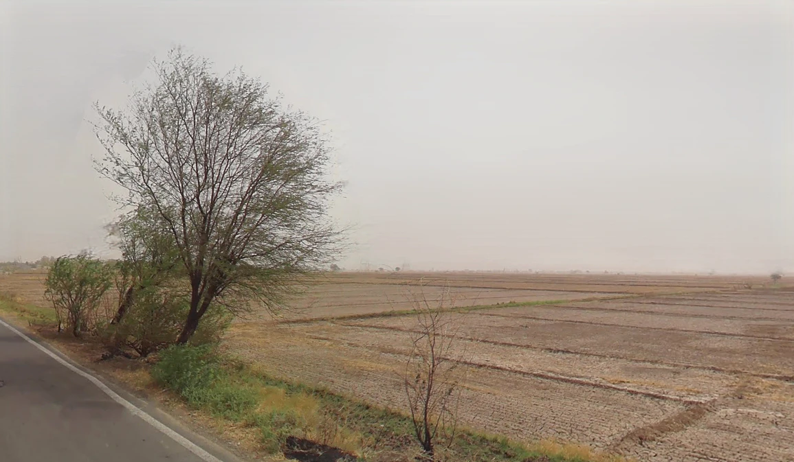 Patauda, Haryana 124108, India