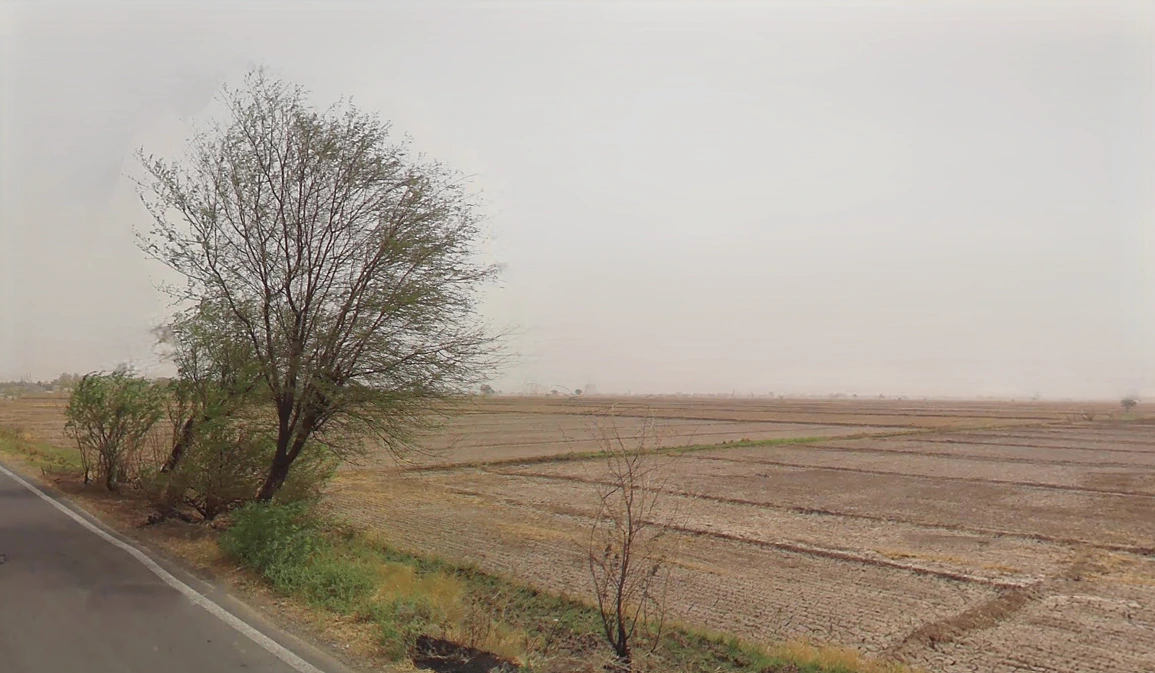 Patauda, Haryana 124108, India