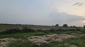 F27F+H2 Hansalpur Becharaji, Gujarat, India preview 3