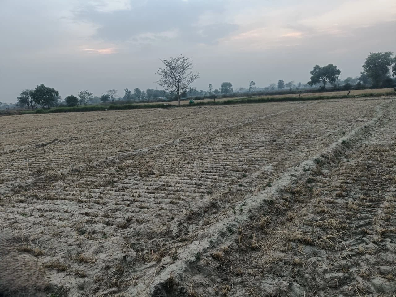 Arjansar, Rajasthan 334604, India