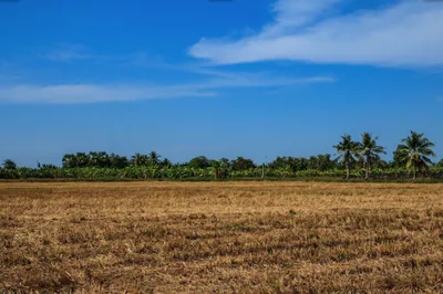 6 06, Sahejpur, Rajasthan 301026, India preview 2