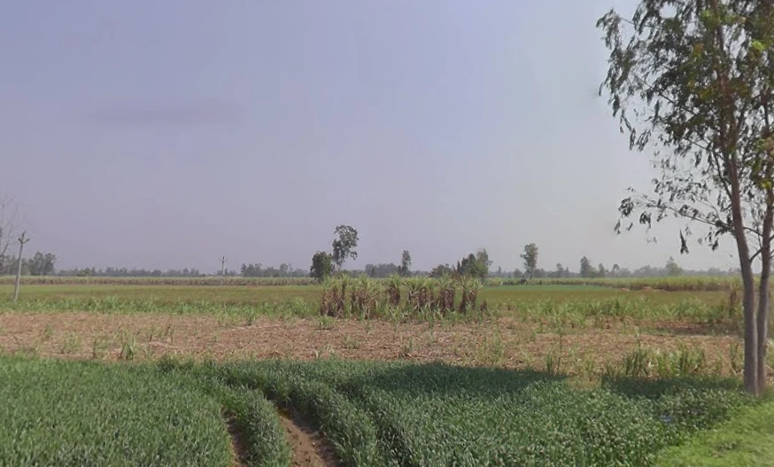 Mawana Kalan, Uttar Pradesh, India
