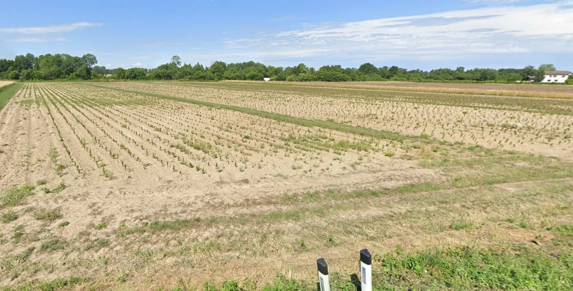 Borkheda Pitramal, Madhya Pradesh 456335, India