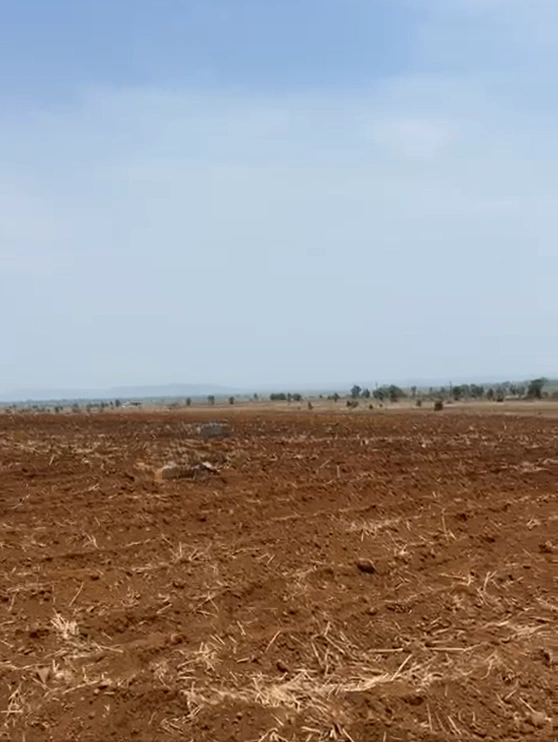 Kiloda, Shajapur, Madhya Pradesh 465227, India