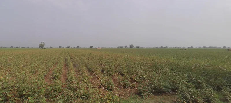 8MHQ+3X Pindharada, Gujarat, India preview 2