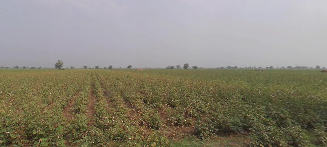 8MHQ+3X Pindharada, Gujarat, India