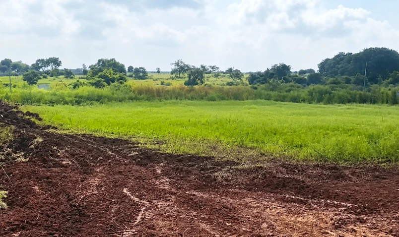 G229+WV9, Sangareddy, Chimaldari Konapur, Telangana, India