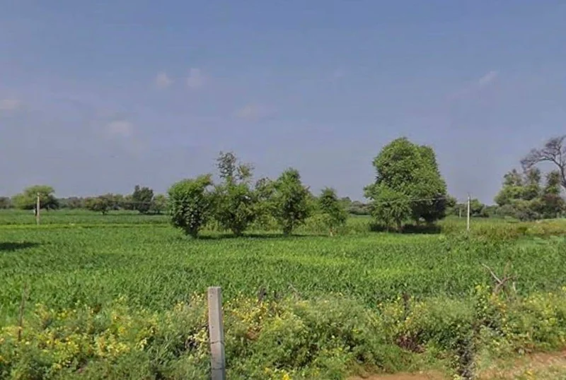 Beelwari, Rajasthan, India preview 2