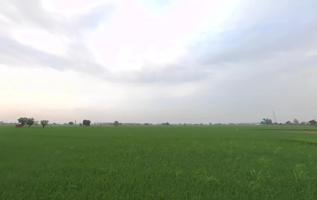 FH67+7QR, Bhadak, Punjab 140402, India