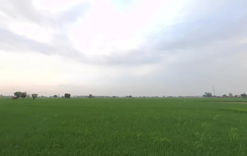 FH67+7QR, Bhadak, Punjab 140402, India preview 3