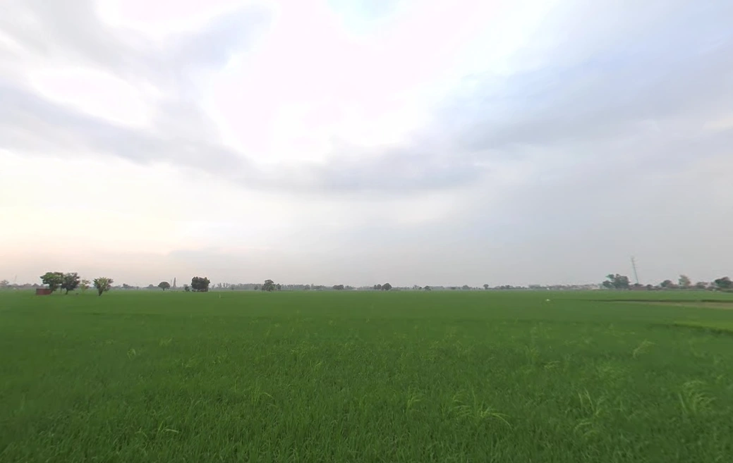 FH67+7QR, Bhadak, Punjab 140402, India