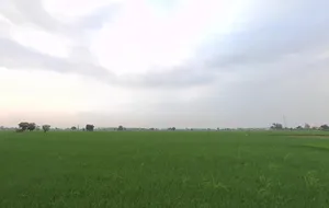 FH67+7QR, Bhadak, Punjab 140402, India preview 3