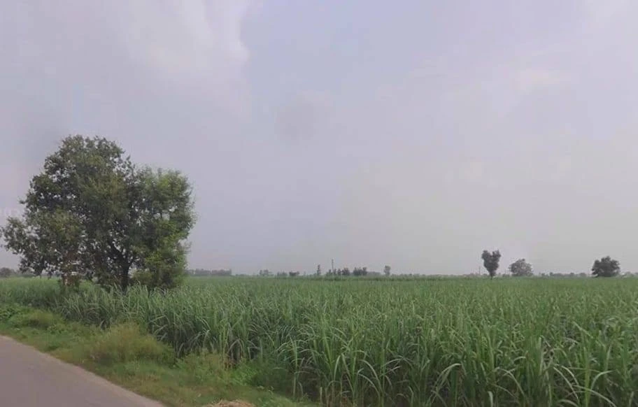 Bahsuma - Khatauli Rd, Kheri Kuresh, Tisang, Uttar Pradesh 251314, India