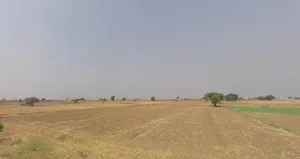 Jahazgarh, Haryana 124106, India preview 2