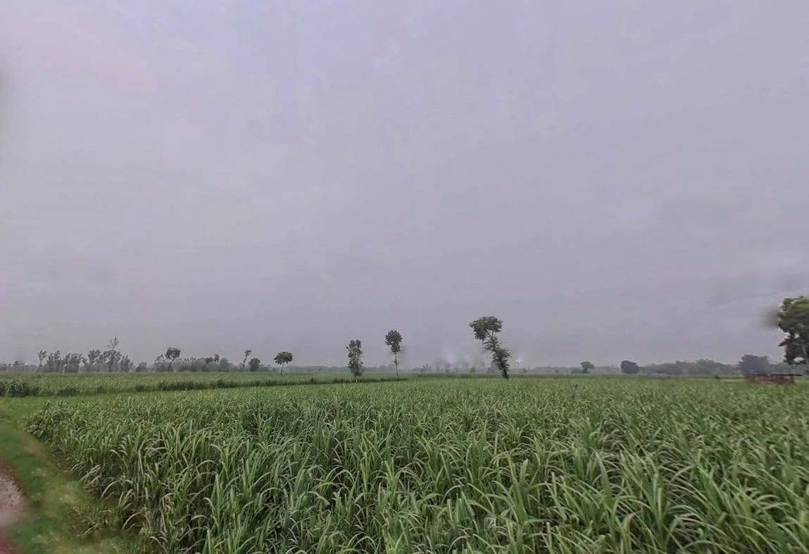 Sidki, Uttar Pradesh 247551, India