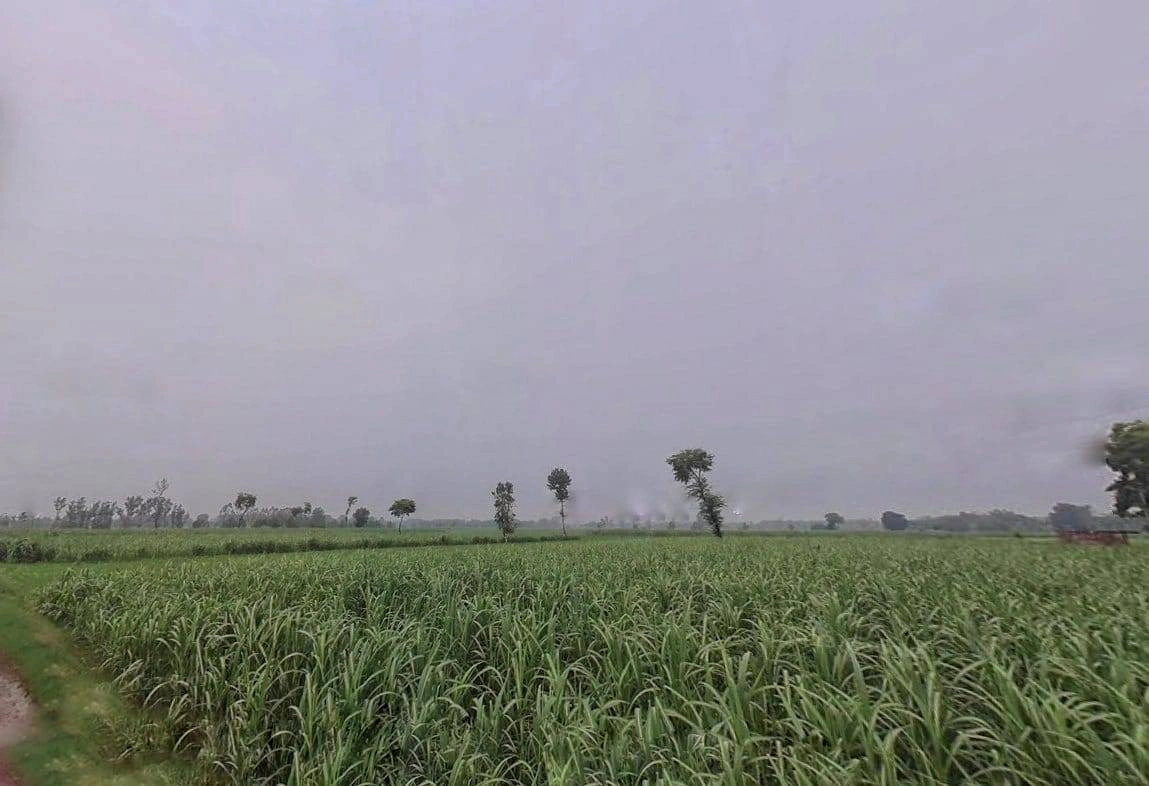Sidki, Uttar Pradesh 247551, India