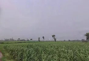 Sidki, Uttar Pradesh 247551, India preview 3
