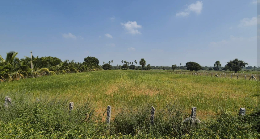 JRQW+GH Budhera, Sangareddy, Telangana, India - Photo 3
