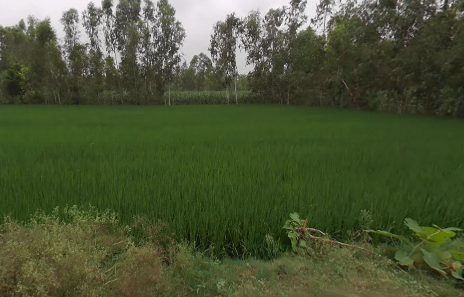 Shahabad, Uttar Pradesh 244922, India preview 3