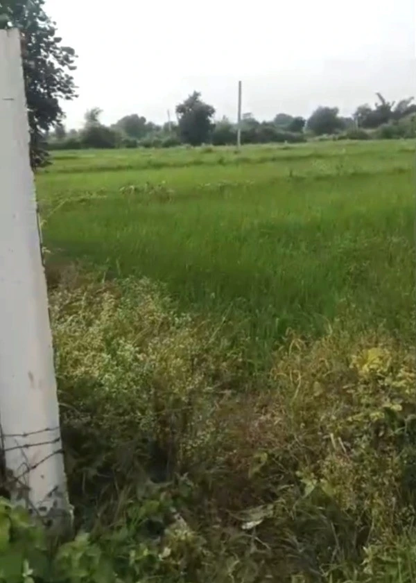 Fatehpur Dobra, Madhya Pradesh 462044, India