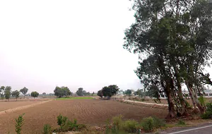 Jind, Haryana, India preview 2