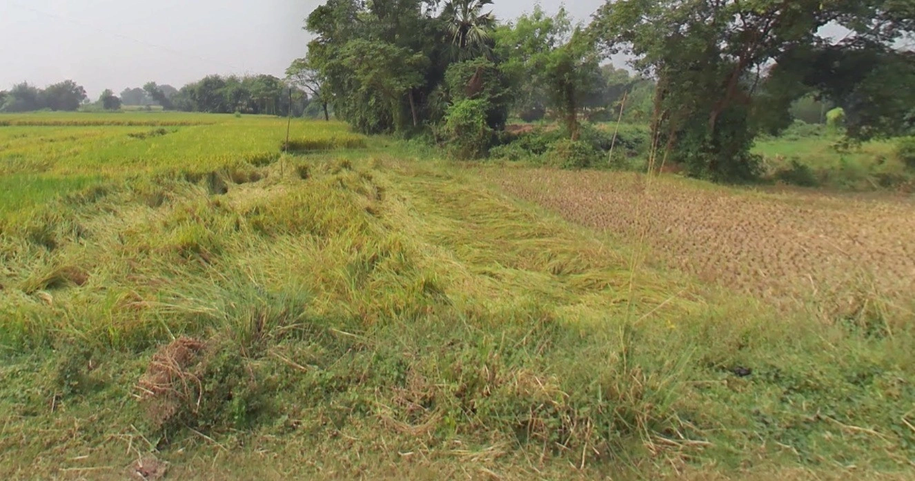 Sindaus, Uttar Pradesh 206125, India