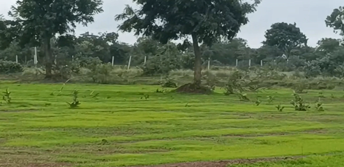 FRFM+RCX, Vikarabad, Kesaram, Telangana 501106, India - Photo 3