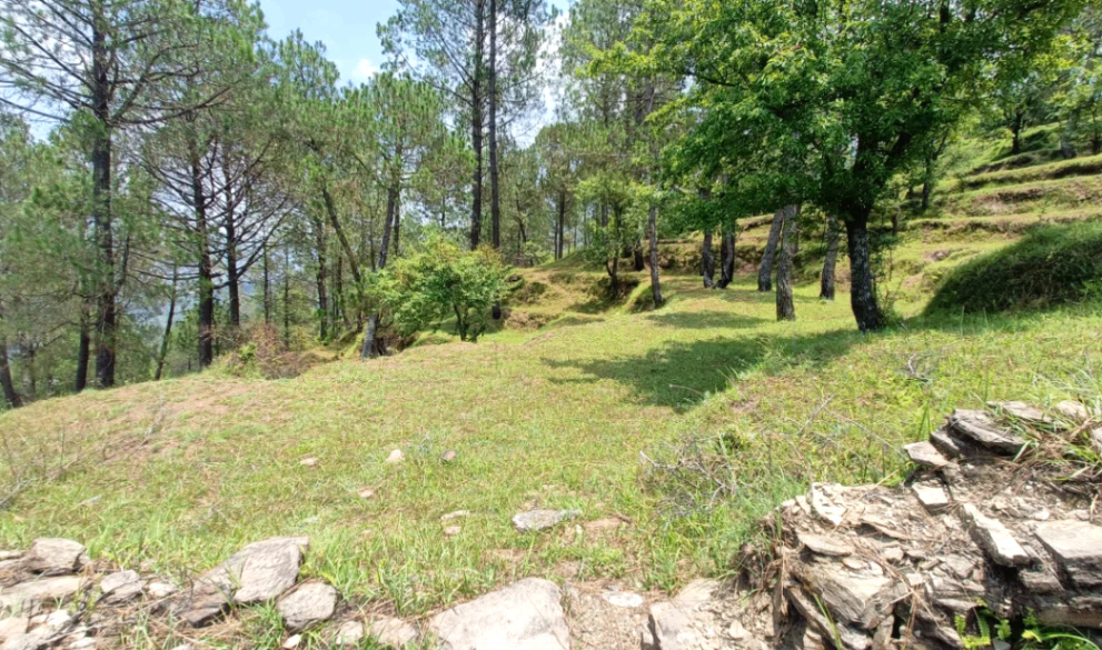 Dhulkot Mafi, Uttarakhand, India
