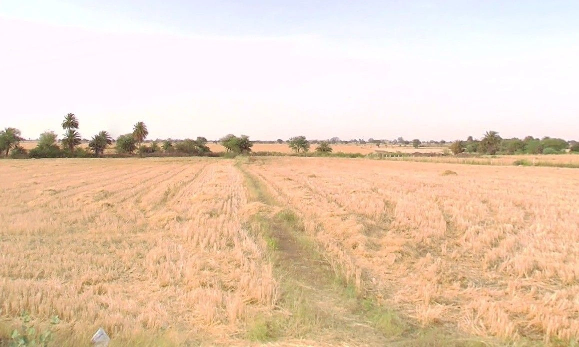 Jhagariya, Madhya Pradesh, India