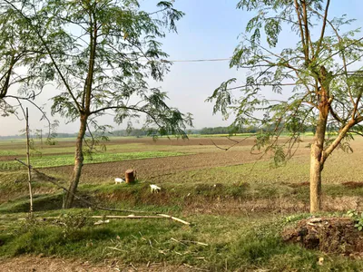 Jagdari, Rajasthan, India preview 2