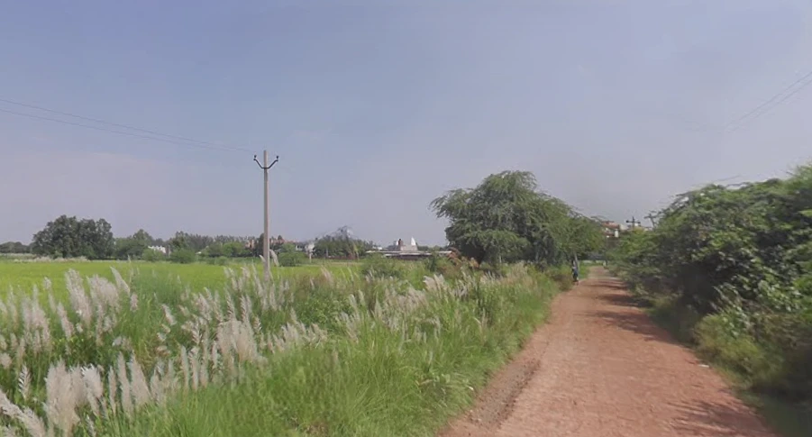 Purseni, Uttar Pradesh 226301, India