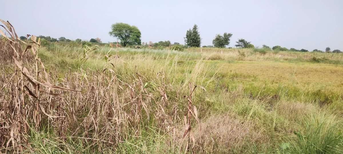 Aou, Rajasthan, India