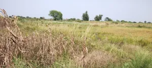 Aou, Rajasthan, India preview 2