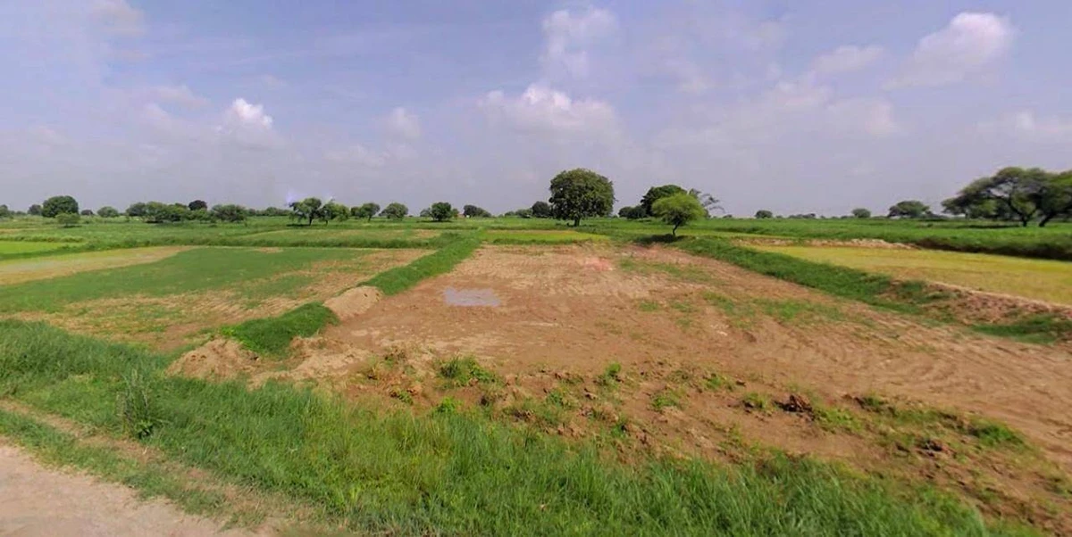 Jhajjar, Haryana 124103, India