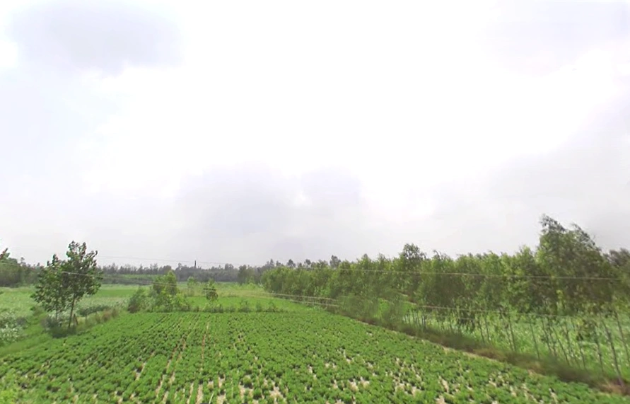Samaspur, Uttar Pradesh 247129, India
