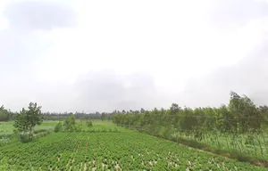 Samaspur, Uttar Pradesh 247129, India preview 2