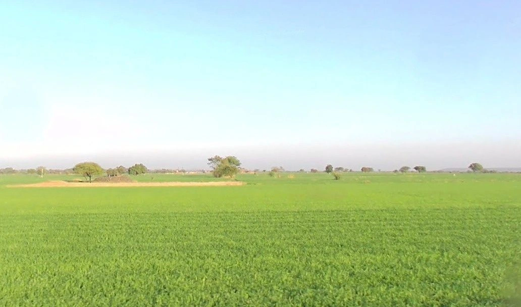 Sultanganj, Madhya Pradesh, India