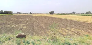 Ukwa, Madhya Pradesh 481105, India preview 3