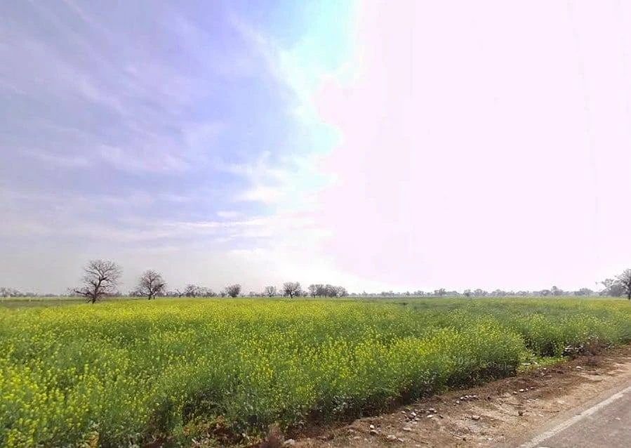 Khudiyana, Rajasthan 321607, India