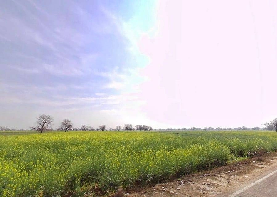 Khudiyana, Rajasthan 321607, India