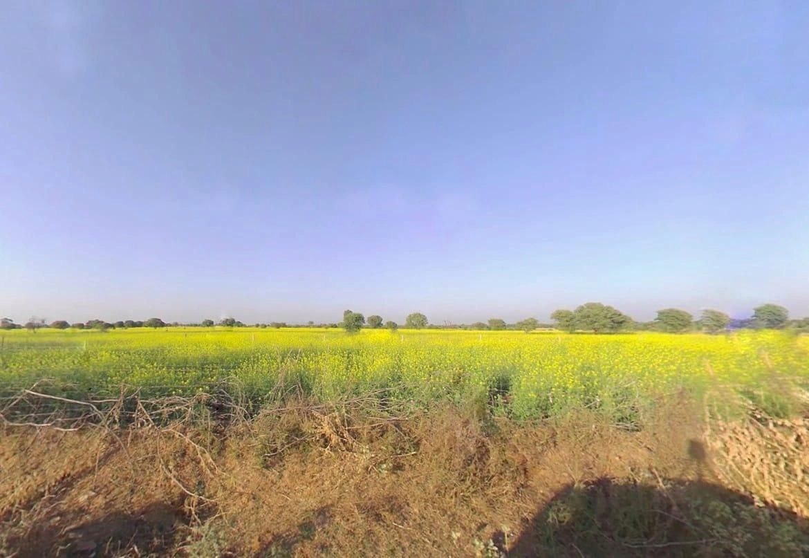 VFF6+G4F, Bhandarej, Gothra, Rajasthan 303501, India