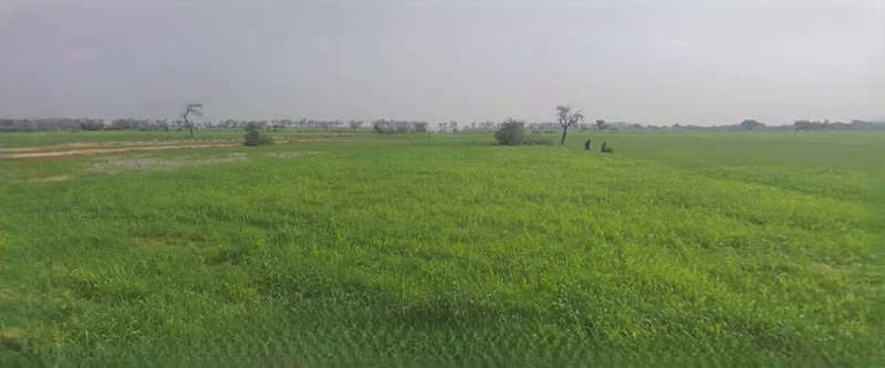 Barnagar, Madhya Pradesh 456771, India preview 3