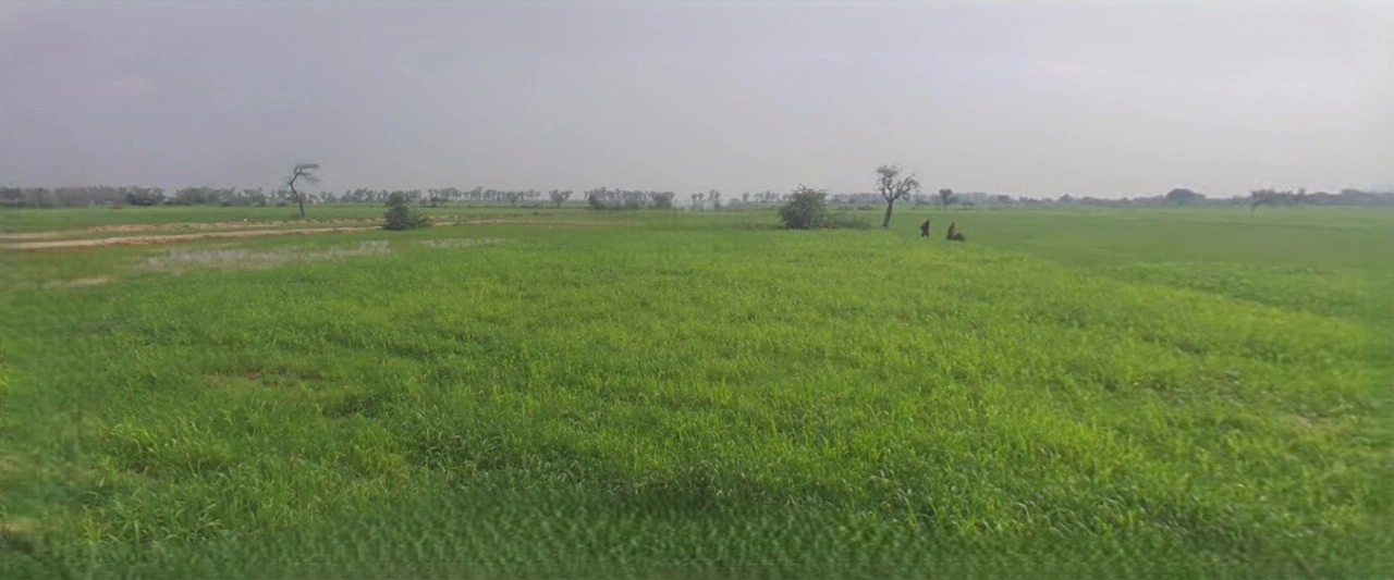 Barnagar, Madhya Pradesh 456771, India