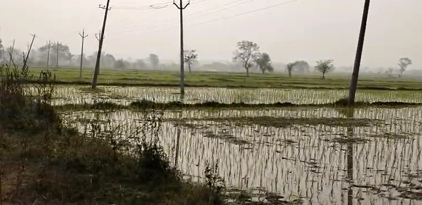 44FJ+25 Nagi Reddypet, Kamareddy, Telangana, India