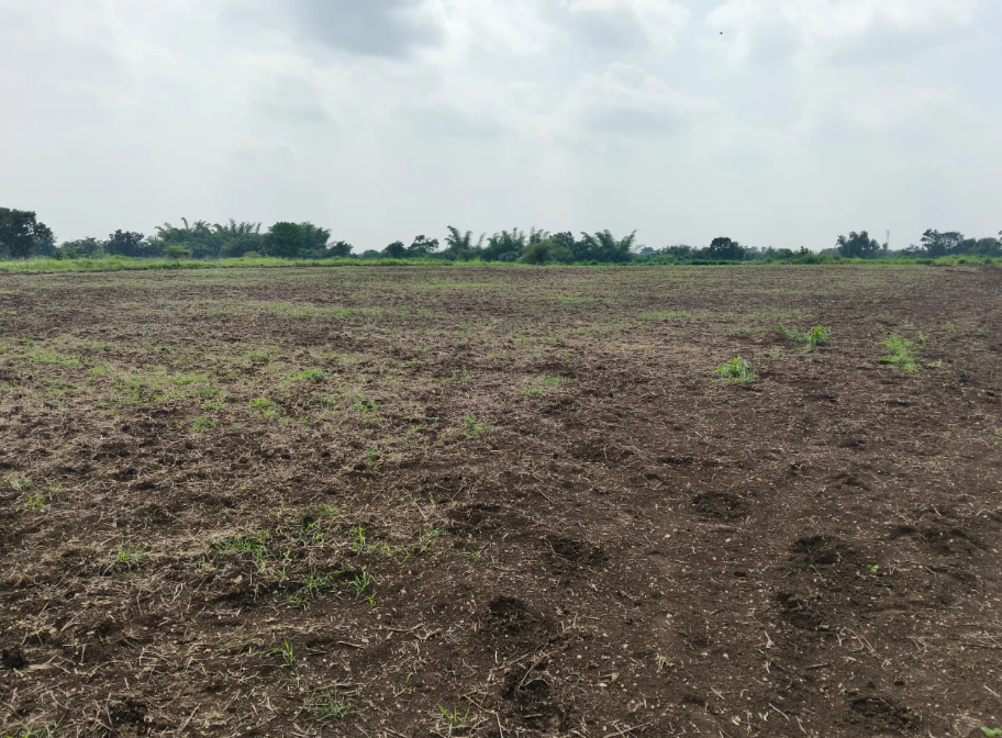 8MQ8+9X Peddemul, Vikarabad, Telangana, India