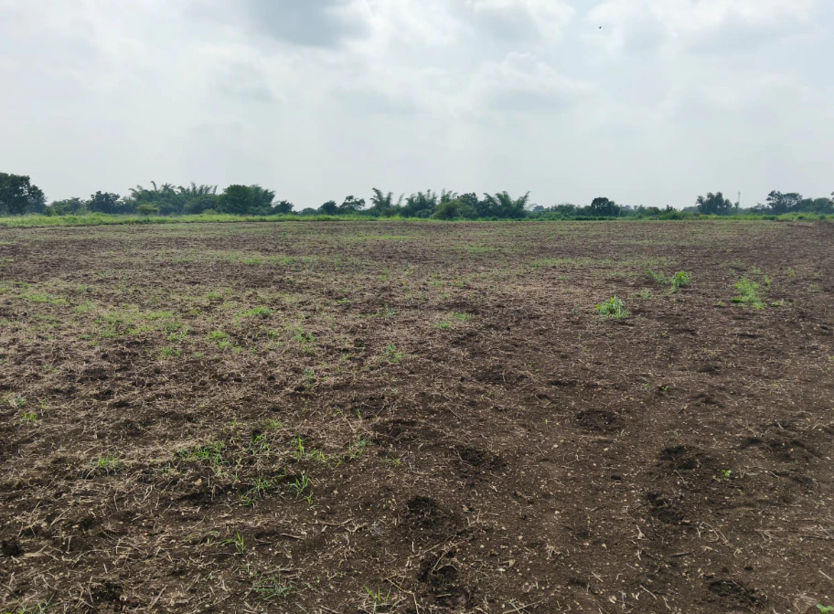 8MQ8+9X Peddemul, Vikarabad, Telangana, India - Photo 2